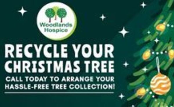 Recycle Your Christmas Tree