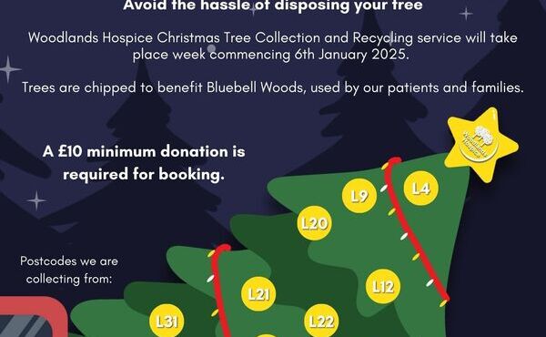 Recycle Your Christmas Tree